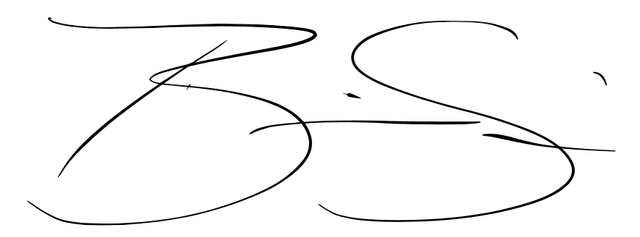 Brian M. Sabourin Signature